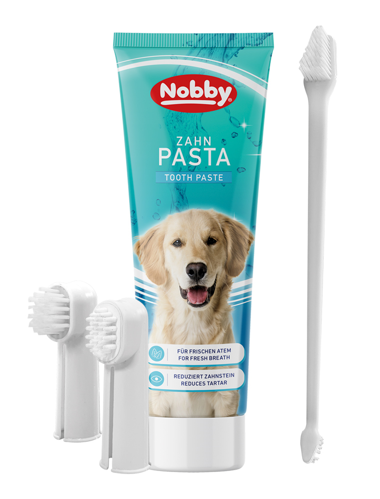 Zahnbürstenset mit Pasta 4Tlg