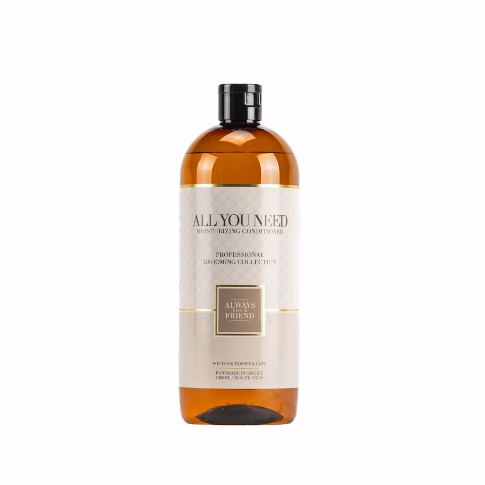 ALWAYS All You Need Conditioner – Tiefenpflege mit Feuchtigkeitsspender (Professional Line)