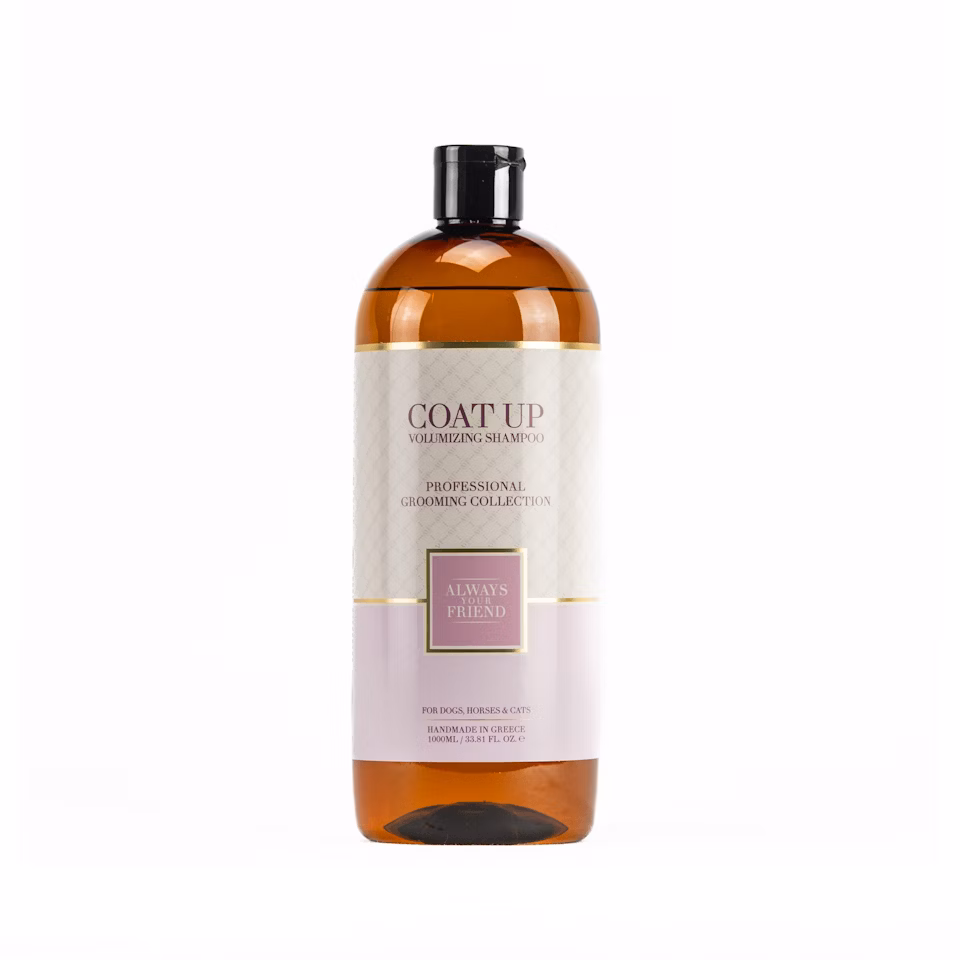 ALWAYS Coat Up Shampoo – Volumenverstärkende Formel (Professional Line)
