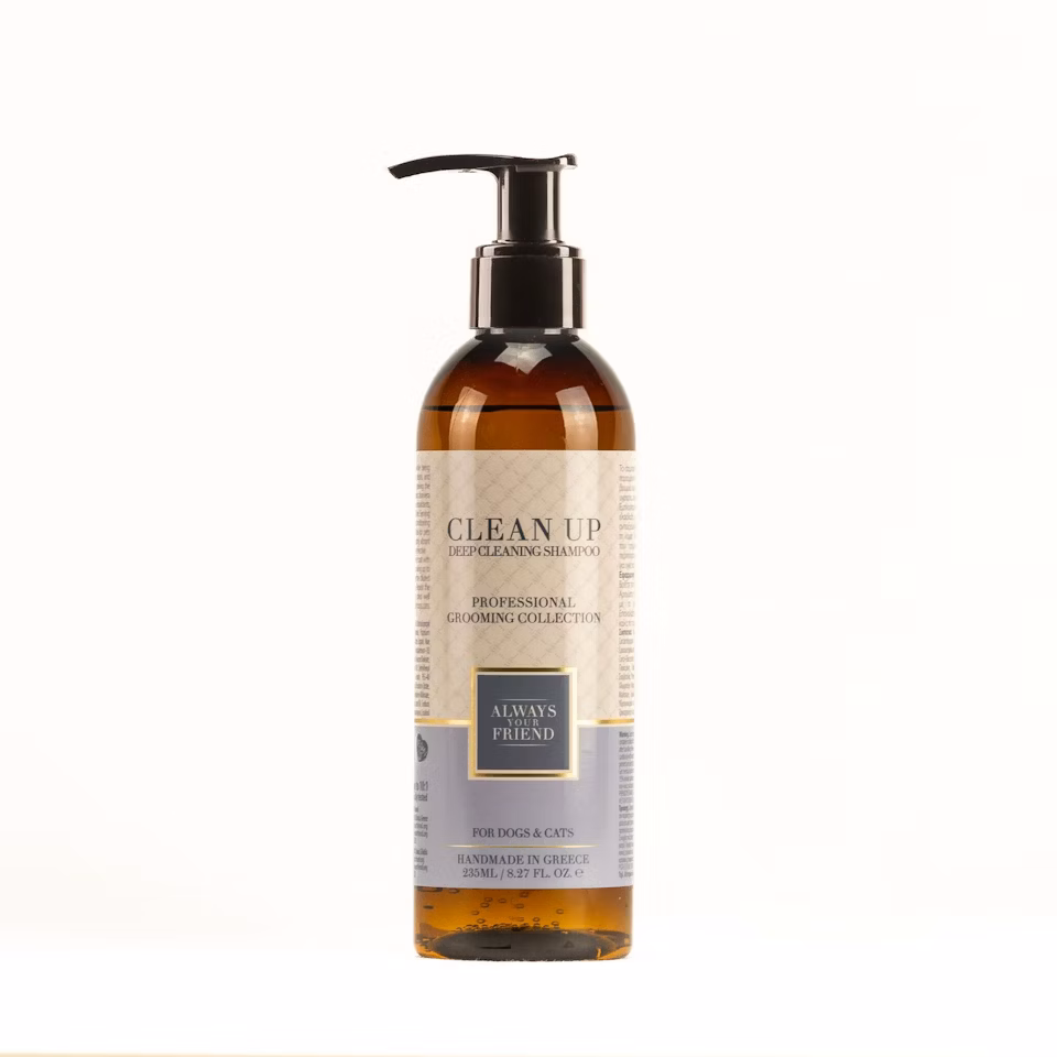 ALWAYS Clean Up Shampoo – Tiefenreinigungslösung (Professional Line)  235 ml
