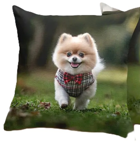 Kissenbezug mit Pomeranianmotiv