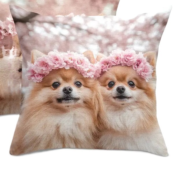 Kissenbezug mit Pomeranianmotiv