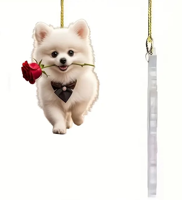 Pomeranian -Deko zum Aufhängen Acryl