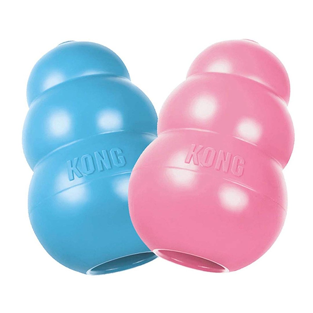 KONG Puppy  blau