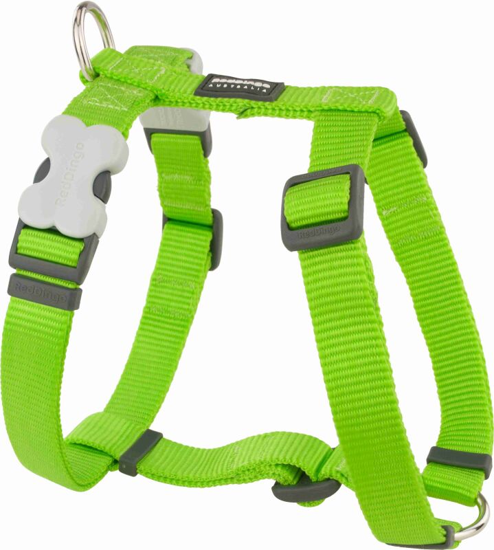 Red Dingo Nylongeschirr Classic  Limette