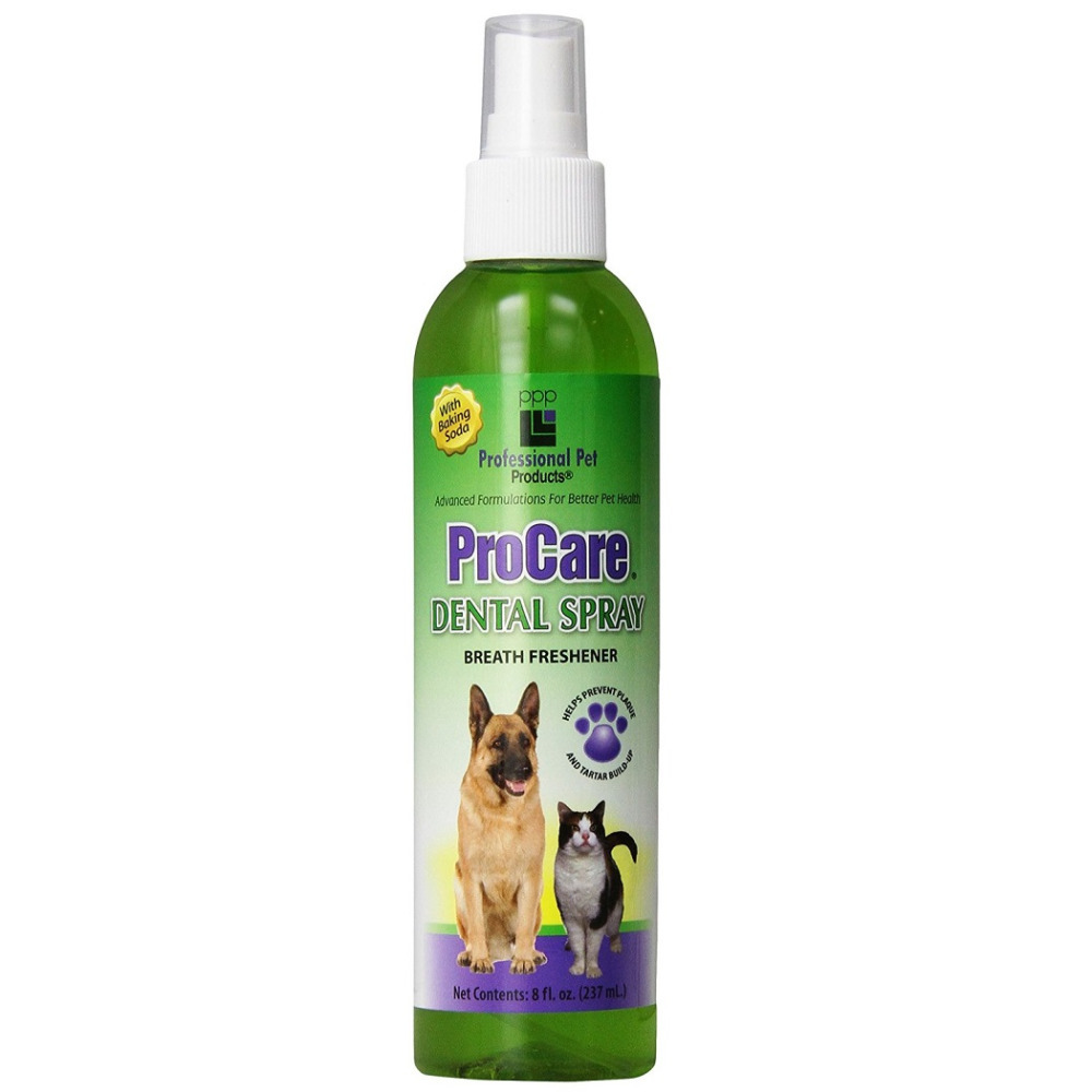 PPP ProCare Dental Spray 237ml