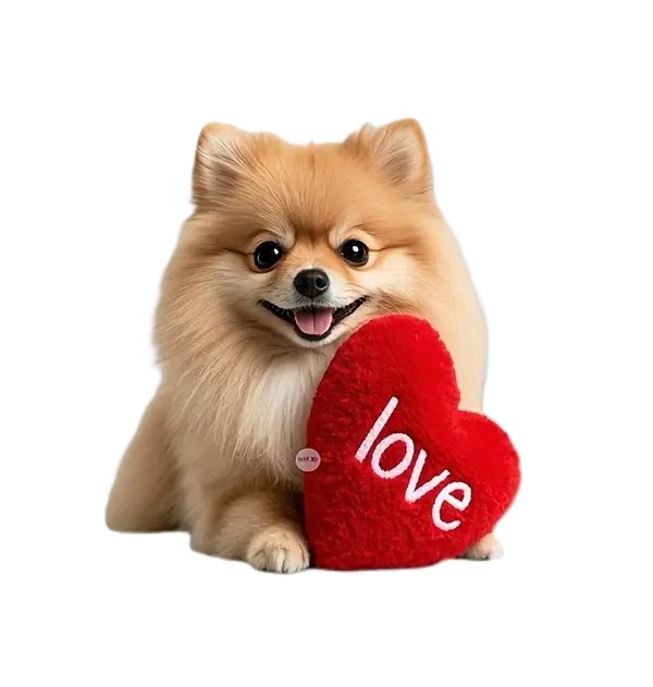 Pomeranian -Deko zum Aufhängen