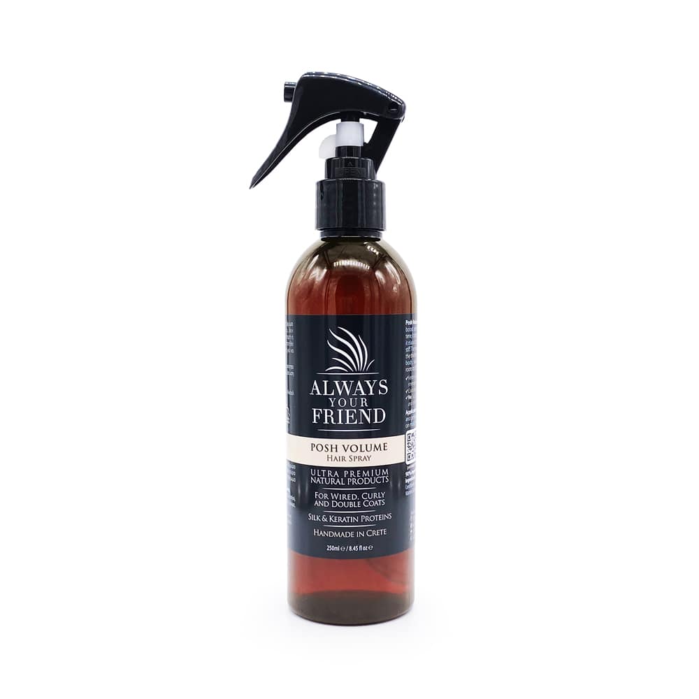 Always Your Friend Posh Volume Spray 250 ml