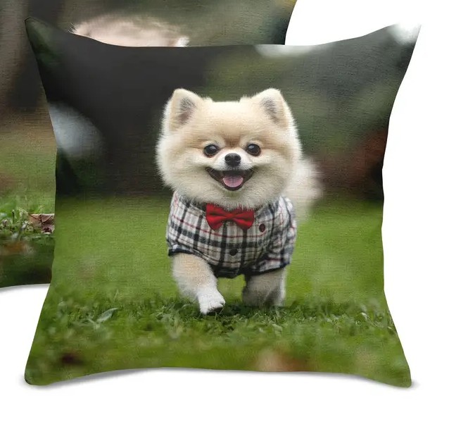 Kissenbezug mit Pomeranianmotiv