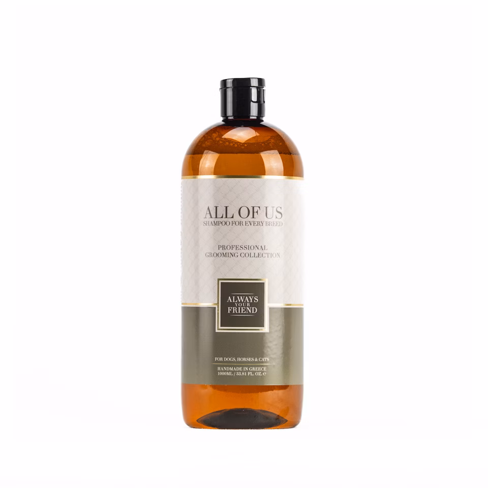 ALWAYS All Of Us Shampoo – Jede Rasse verdient das Beste (Professional Line)