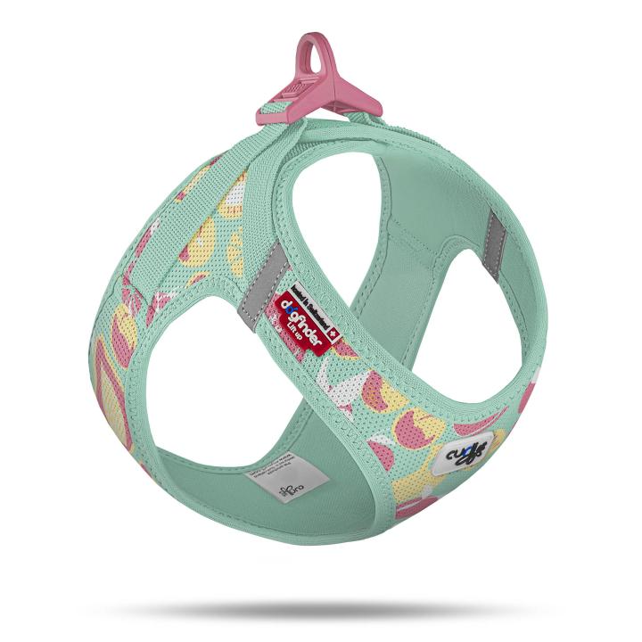 curli Vest Harness Air-Mesh SE26 Juicy Fruits Turqouise  / Achtung -Vorbestellung / Lieferung ab ende April 2026