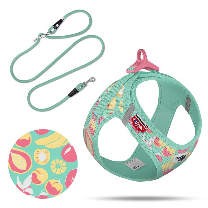Curli Vest Harness Air-Mesh SE26 Juicy Fruits Turqouise+ Leine / VORBESTELLUNG / Lieferung ende April 2026