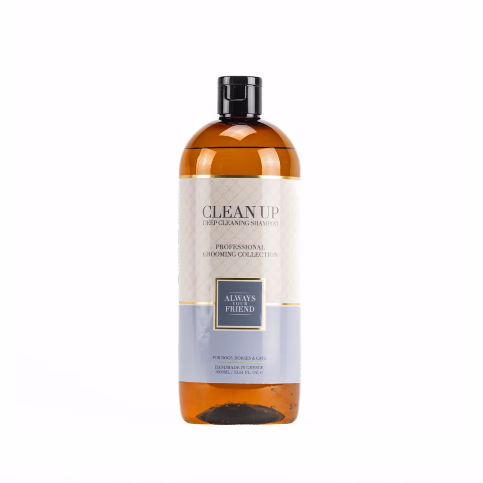 ALWAYS Clean Up Shampoo – Tiefenreinigungslösung (Professional Line)