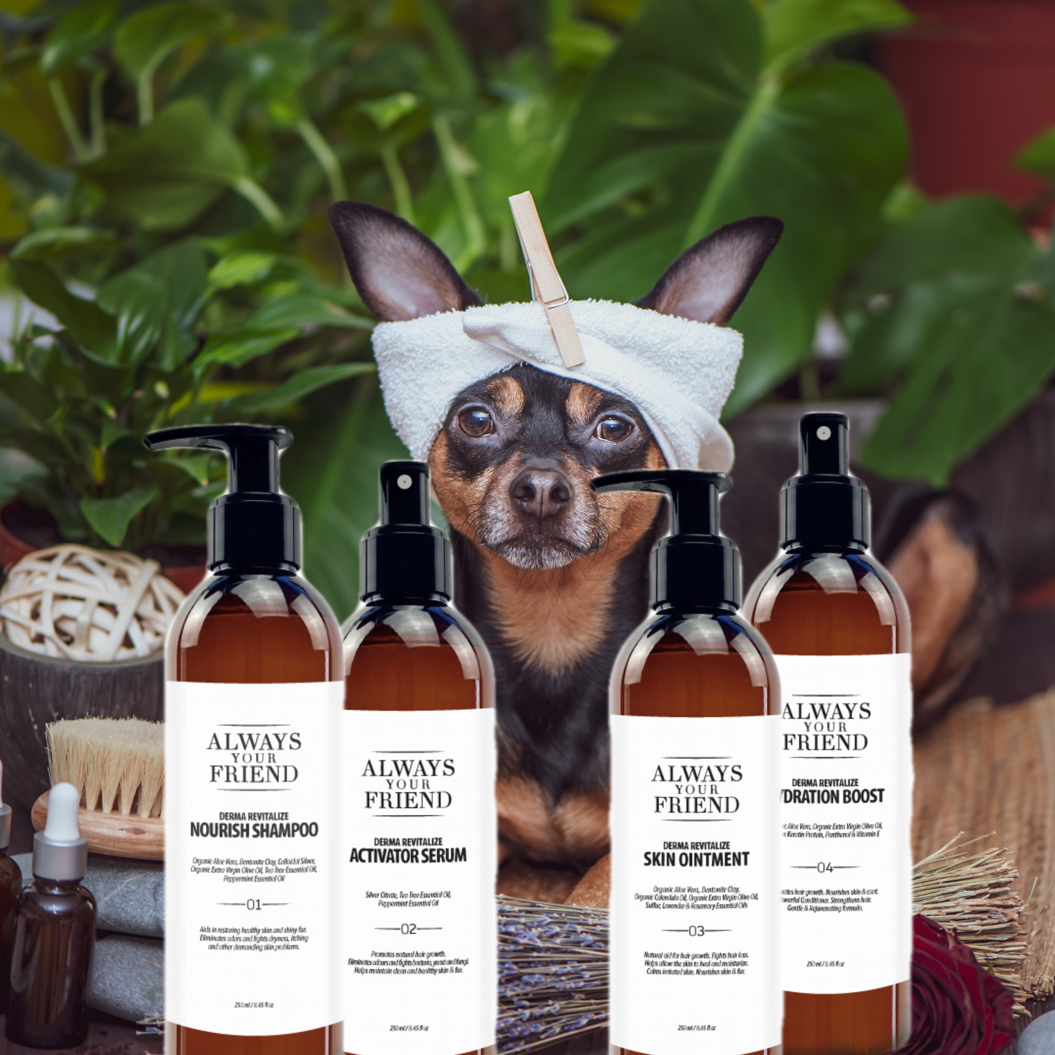 Always Your Friend Derma Rivitalize Starter Box