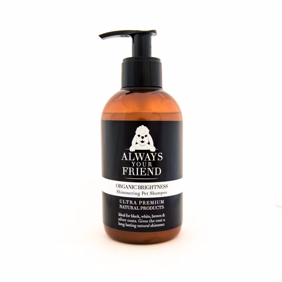 Always Your Friend Organic Brightness Shampoo