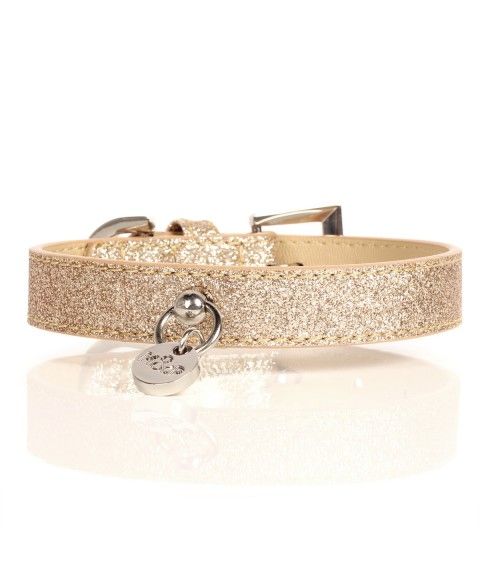Stardust Halsband Gold 1,5 cm / 25cm