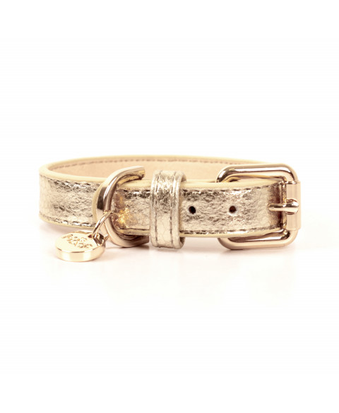 Stardust Halsband Python Gold 2 cm/35 cm