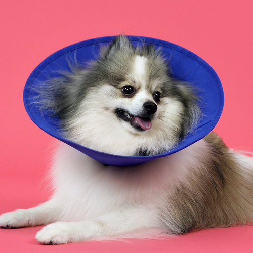 EZ Soft Collar 8,5 - 25 cm/ 10 cm