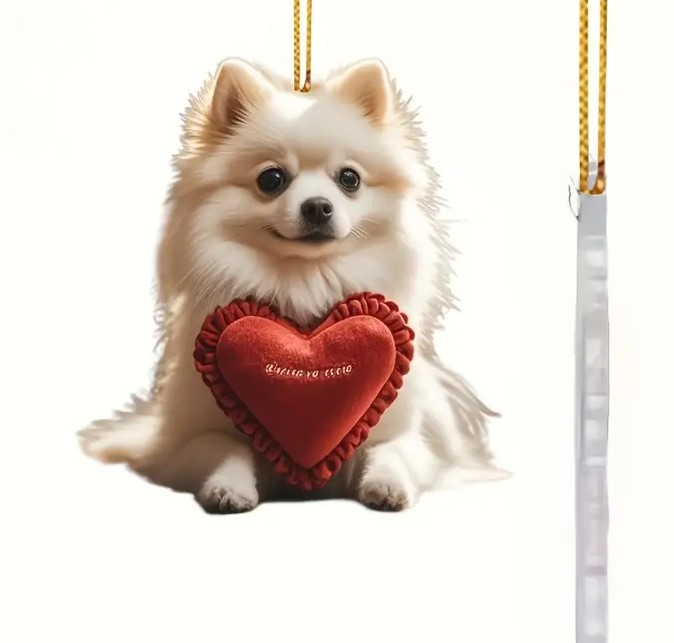 Pomeranian -Deko zum Aufhängen Acryl