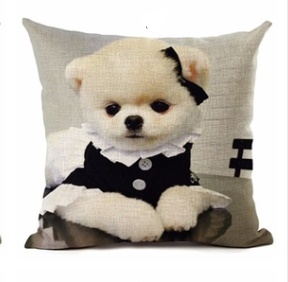 Kissenbezug mit Pomeranianmotiv
