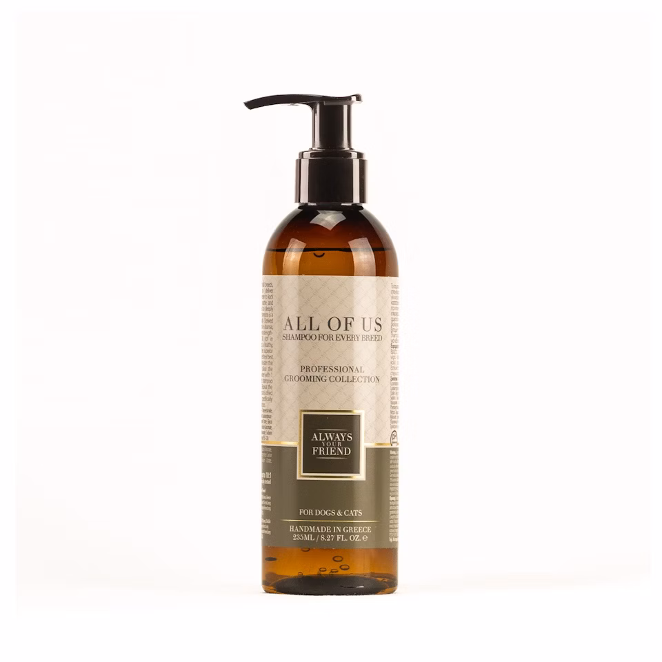 ALWAYS All Of Us Shampoo – Jede Rasse verdient das Beste (Professional Line) 235 ml