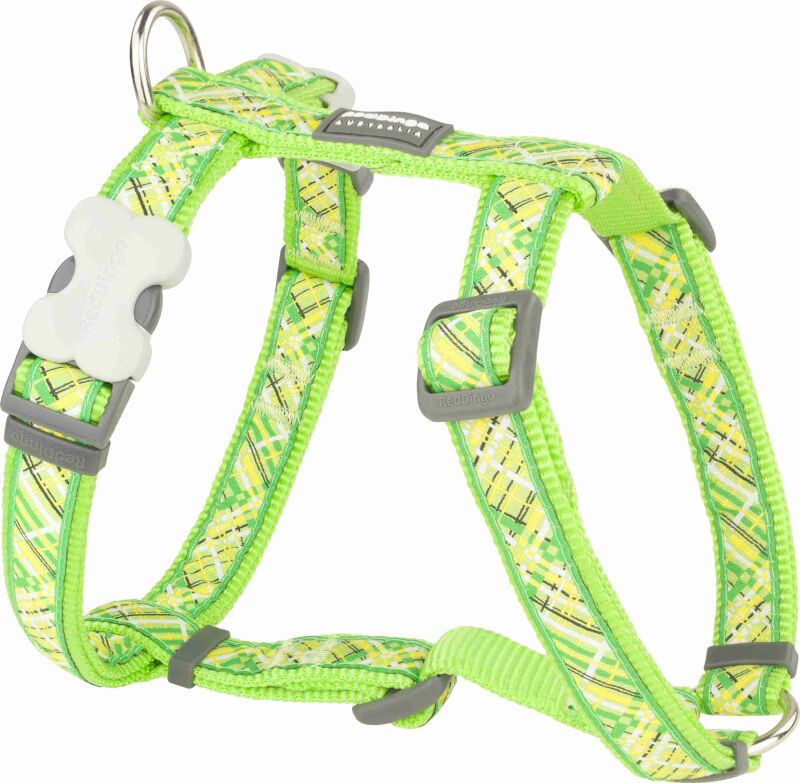 Red Dingo Flanno Lime Green